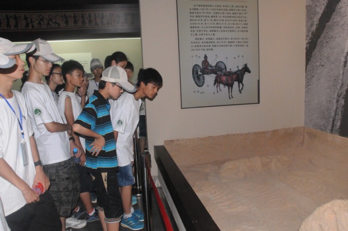 周口一高夏令营学生参观周口市博物馆