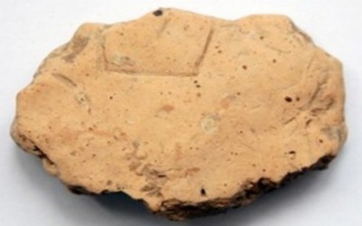 郸城发现大汶口晚期刻符陶片